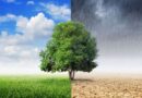 Climate vs Weather – Difference and Comparison